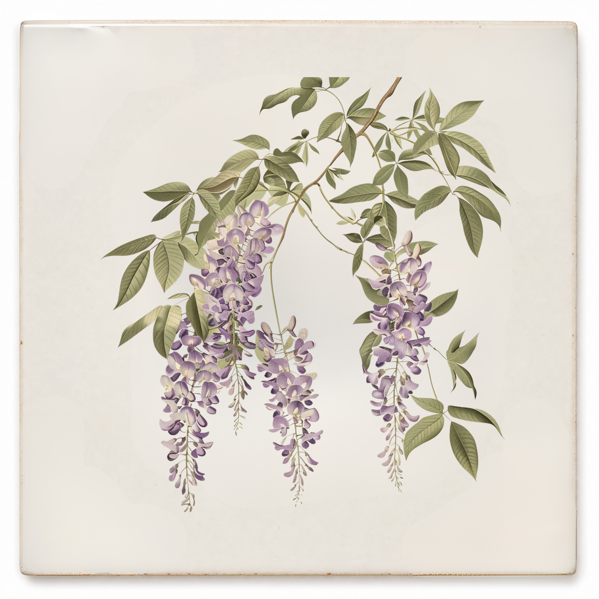 Art Fliese – Blauregen