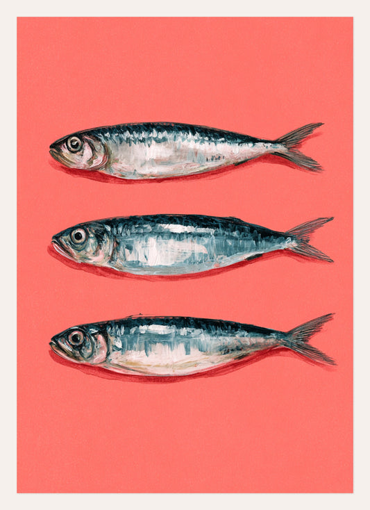Three Little Sardines – A3