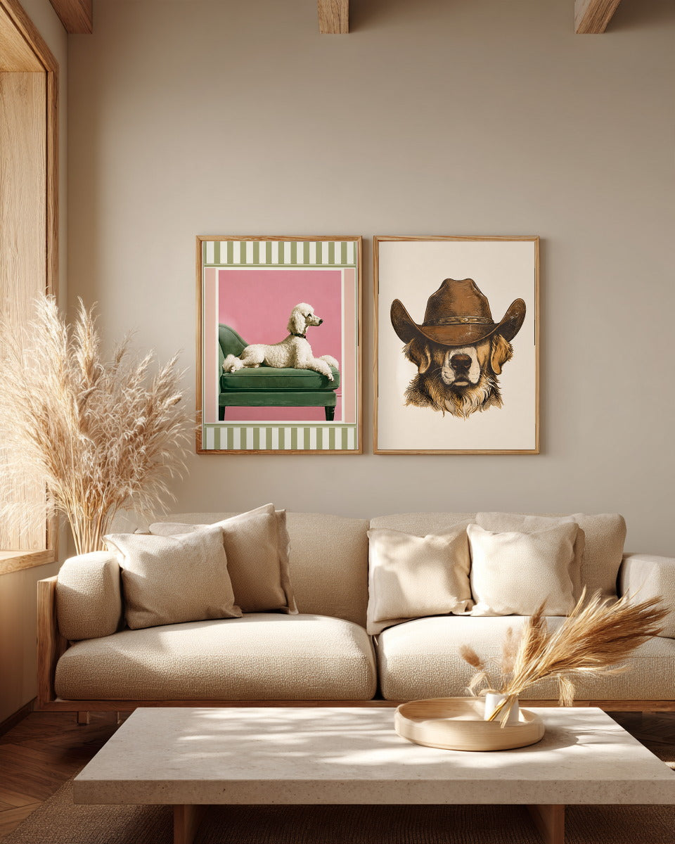 Pudel auf grünem Sofa