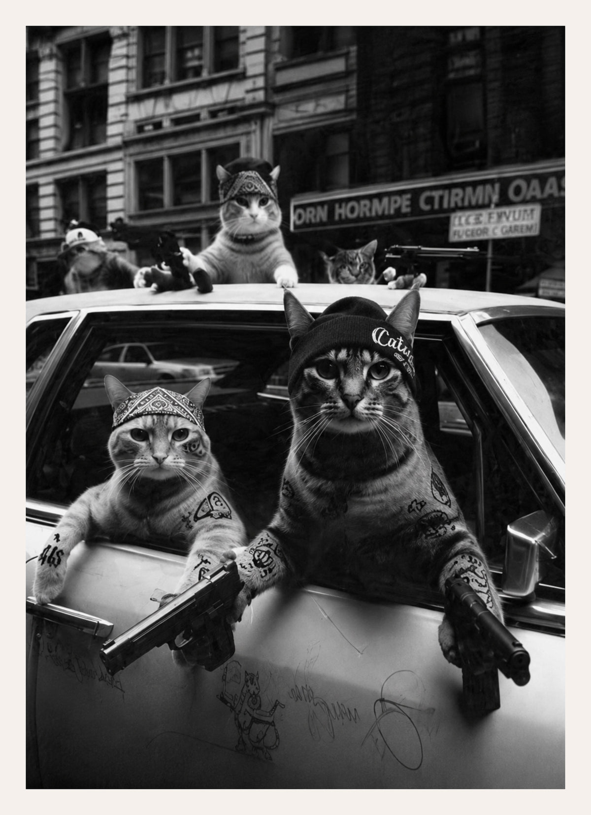 Schwarz-weißes Poster mit vier Katzen mit Bandanas auf einem alten Straßenkreuzer