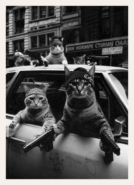 Schwarz-weißes Poster mit vier Katzen mit Bandanas auf einem alten Straßenkreuzer