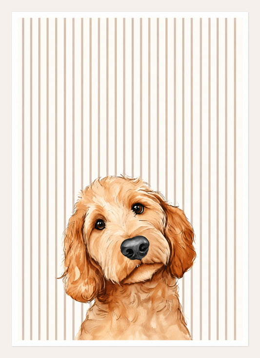 Golden Soft Gaze – A3
