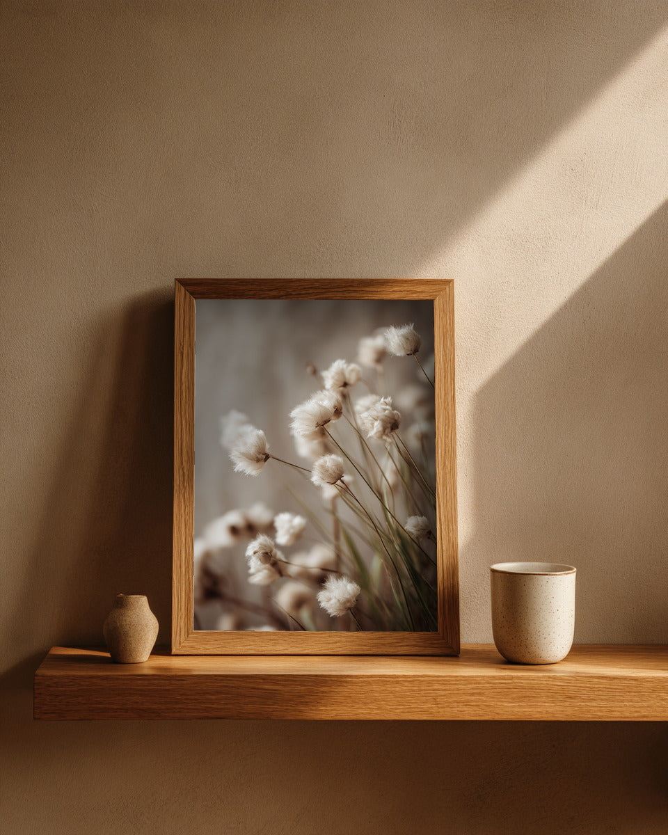 Soft Cotton Days